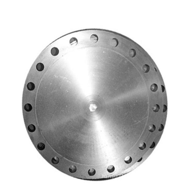 stainless steel bl flange