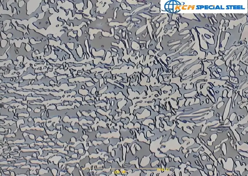 UNS S32750 Super Duplex Pipe Mircostructure Analysis 1 ASTM A790 S32750 Super Duplex Pipe Mircostucture Analysis